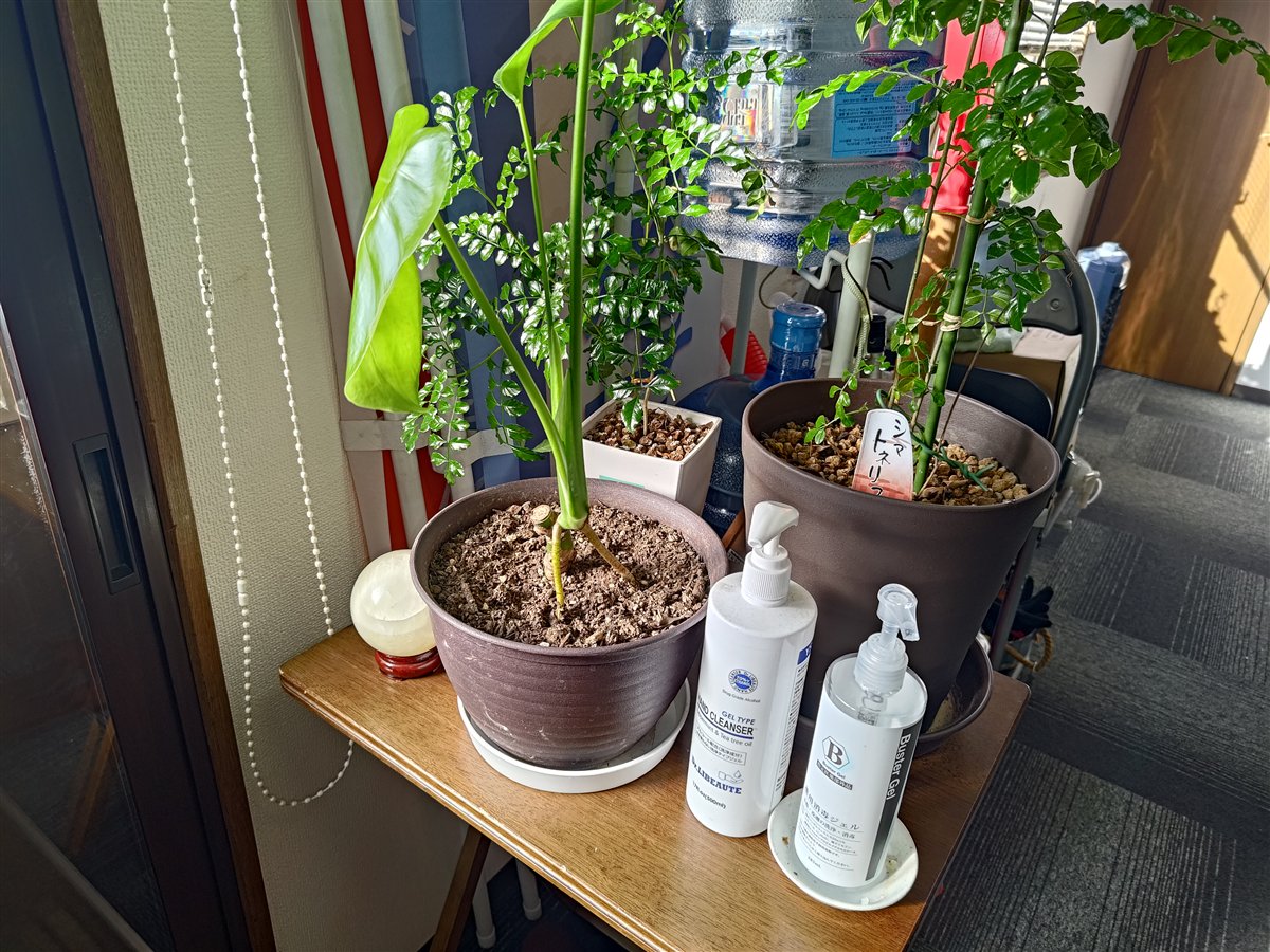 手指の消毒用ジェル